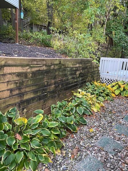 A wooden retaining wall with plants growing on it and a bench in the background.