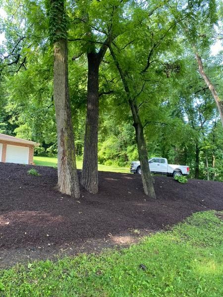 A white truck is parked in a yard next to trees.