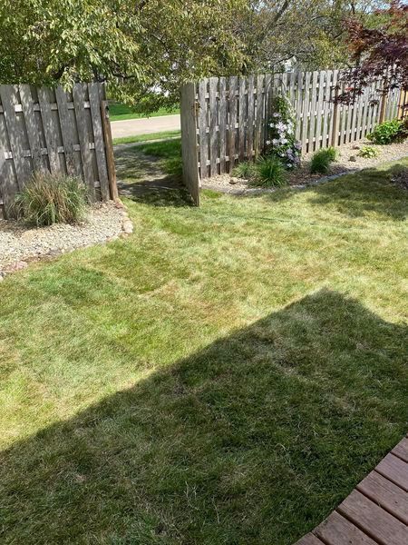 A backyard with a wooden fence and a lush green lawn.