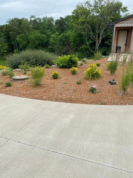 A driveway leading to a house surrounded by trees and flowers.