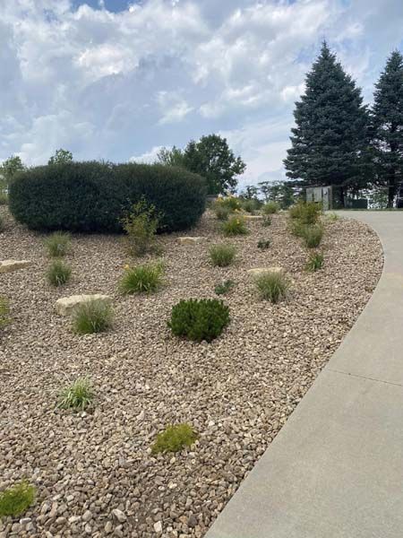 A concrete walkway going through a gravel area with trees in the background