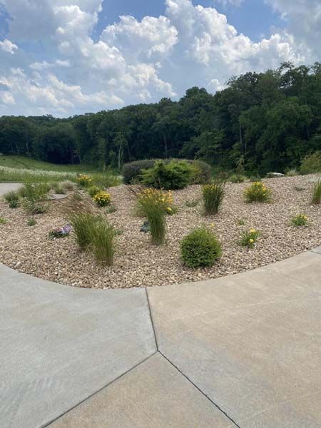 A concrete driveway surrounded by trees and shrubs on a sunny day.