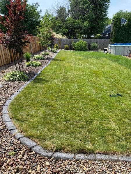 A lush green lawn with a fence and a pool in the background.
