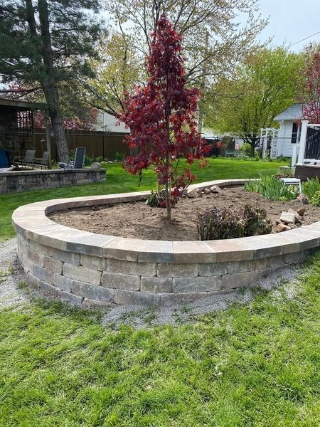 There is a tree in the middle of a brick planter.