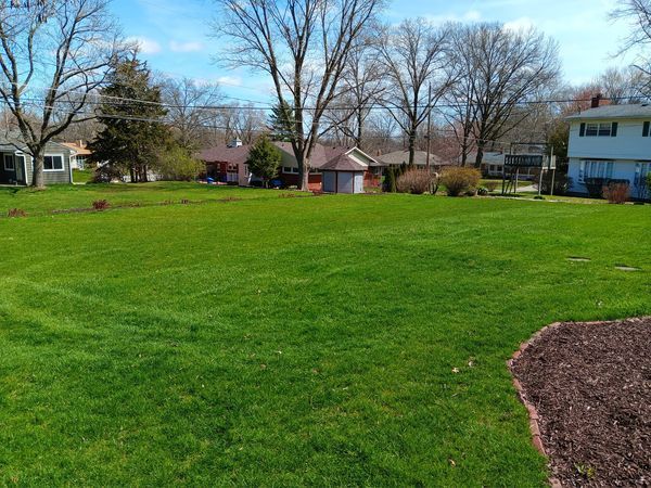 A large lush green lawn in a residential area with houses in the background.