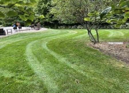 A lush green lawn with a patio in the background.