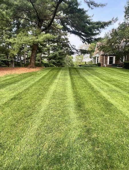 A lush green lawn with trees in the background and a house in the background.