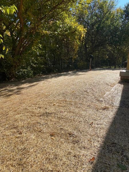 A field of dry grass with trees in the background.