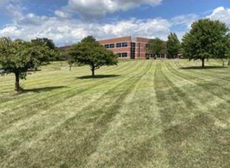 A lush green field with trees and a building in the background.