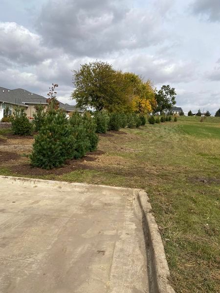 A concrete driveway leading to a grassy field with trees and a house in the background.