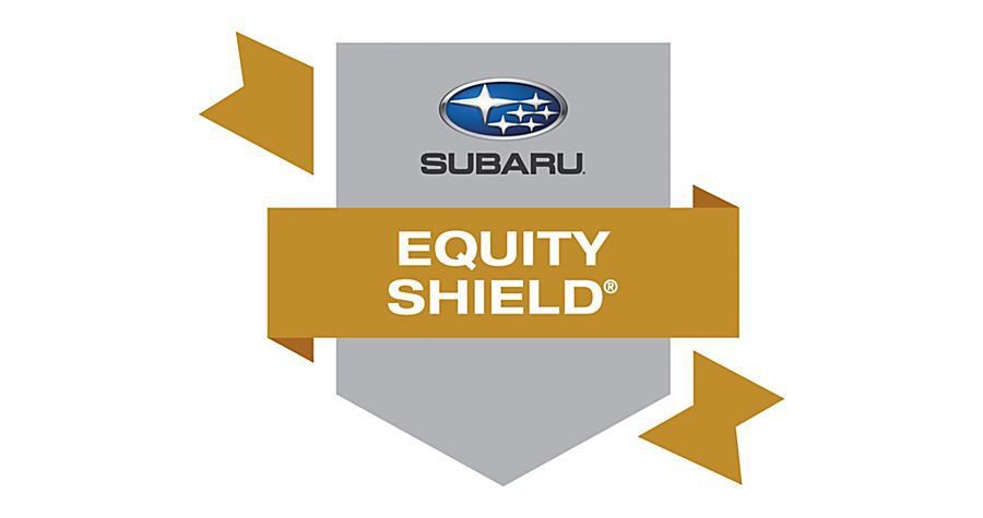Subaru Equity Shield - Aurora, CO - Elevate Hail & Dent Repair