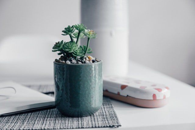 Small succulent in a teal pot on a table beside a notebook and white remote control