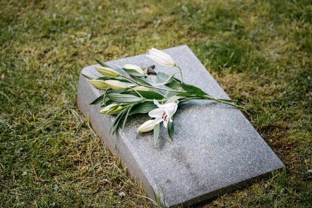 White flowers and green leaves resting on a gray gravestone in a grassy cemetery