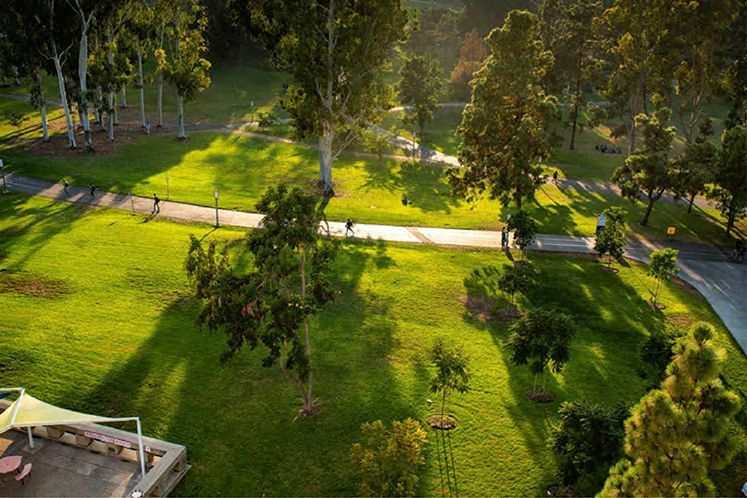 saffroncasasaffroncasa