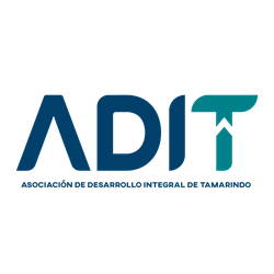 ADIT Tamarindo logo – digital marketing and tourism development partner