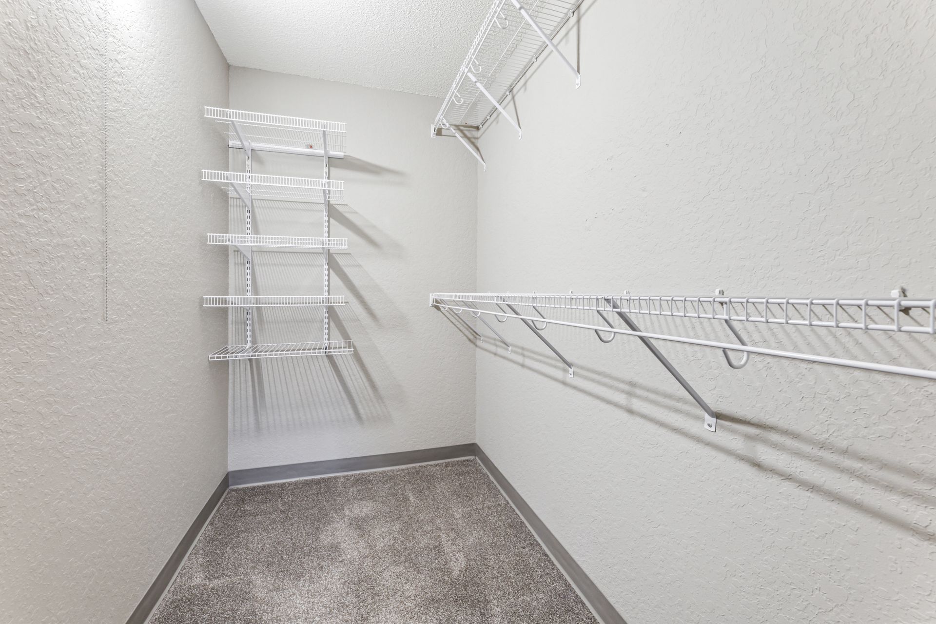 An empty walk in closet with shelves and a carpeted floor.