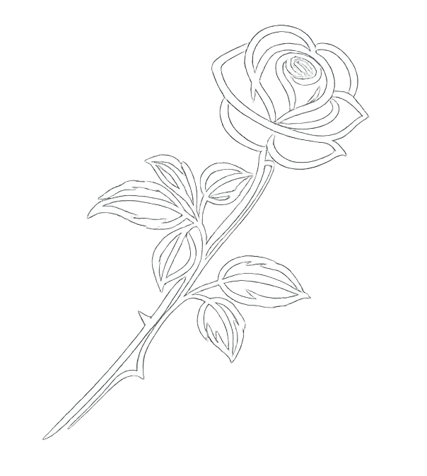 Disegno a tratteggio di una rosa su uno stelo con foglie e spine.