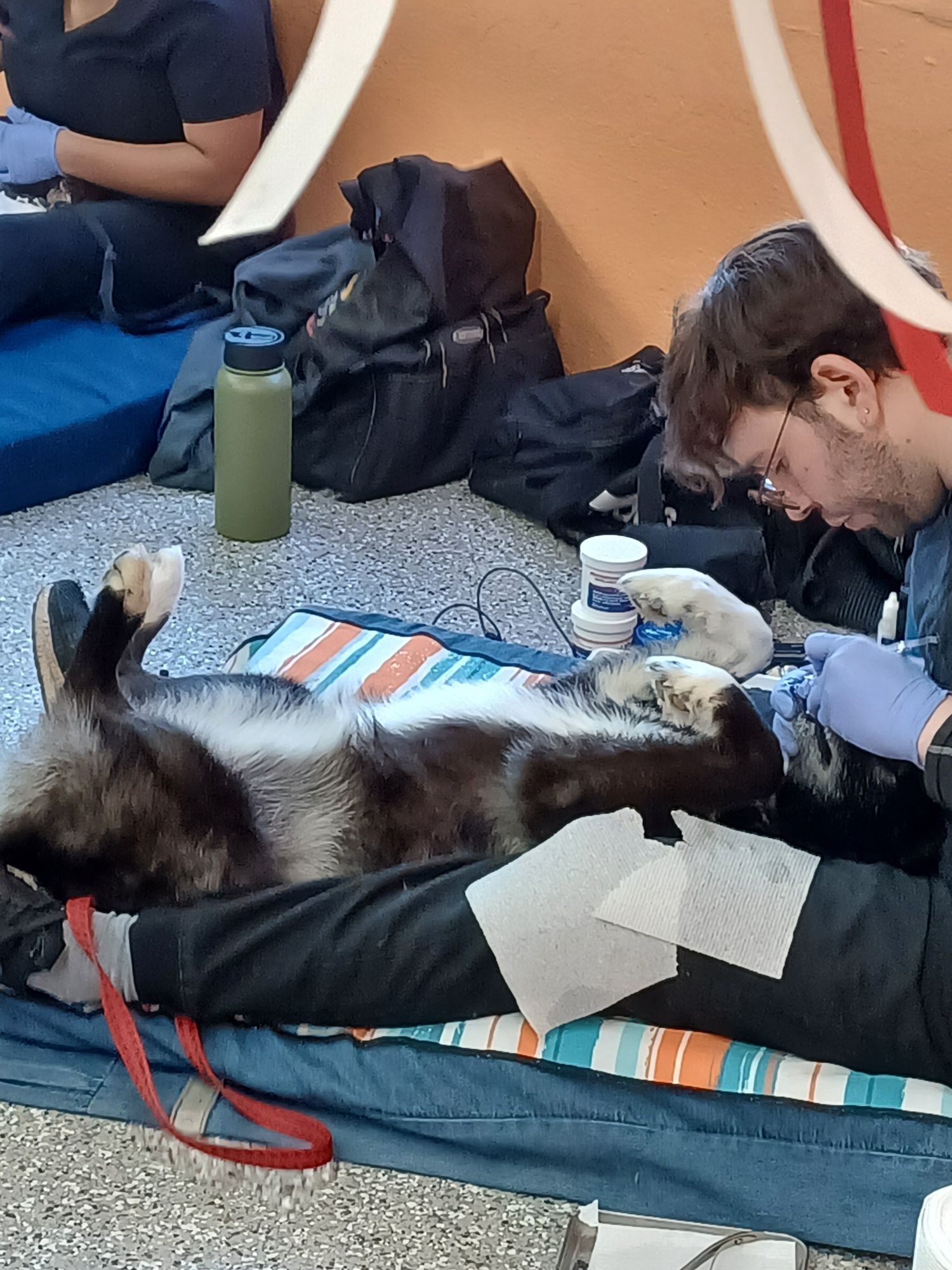 A man is laying on a blanket next to a cat