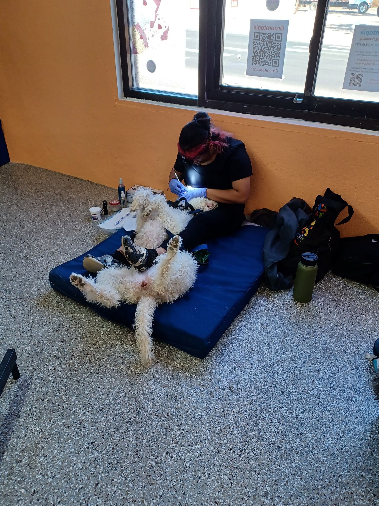 A man is sitting on a blue mattress next to a white dog.