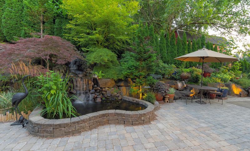 There is a pond with a waterfall in the middle of the garden.