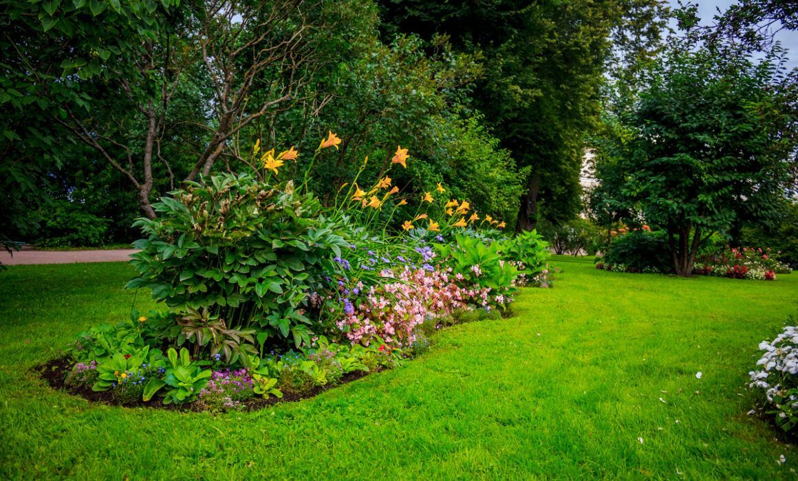 A garden filled with lots of flowers and trees