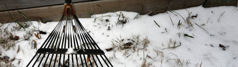 A rake is sitting on top of a pile of snow.