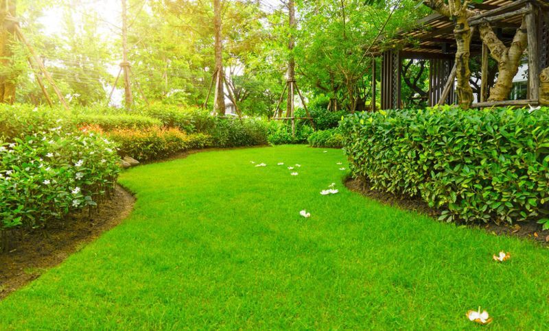 A lush green lawn in a park with trees and bushes.