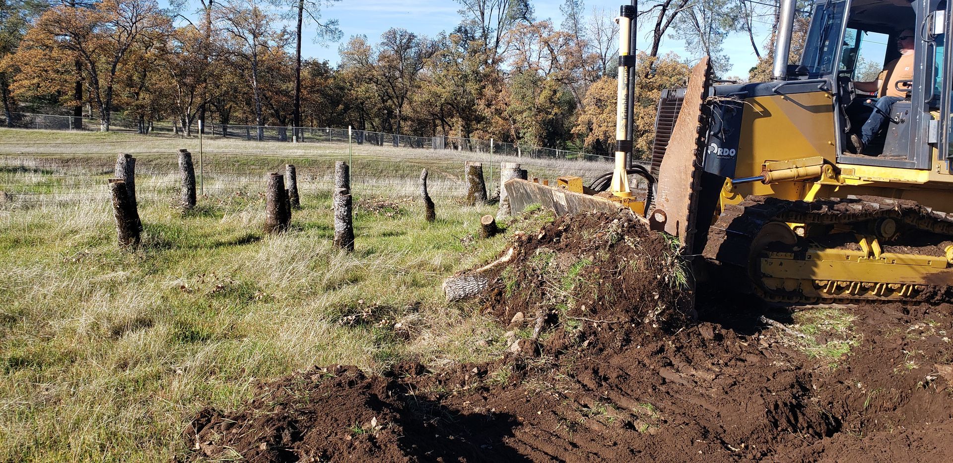 Redding Tree removal stump removal