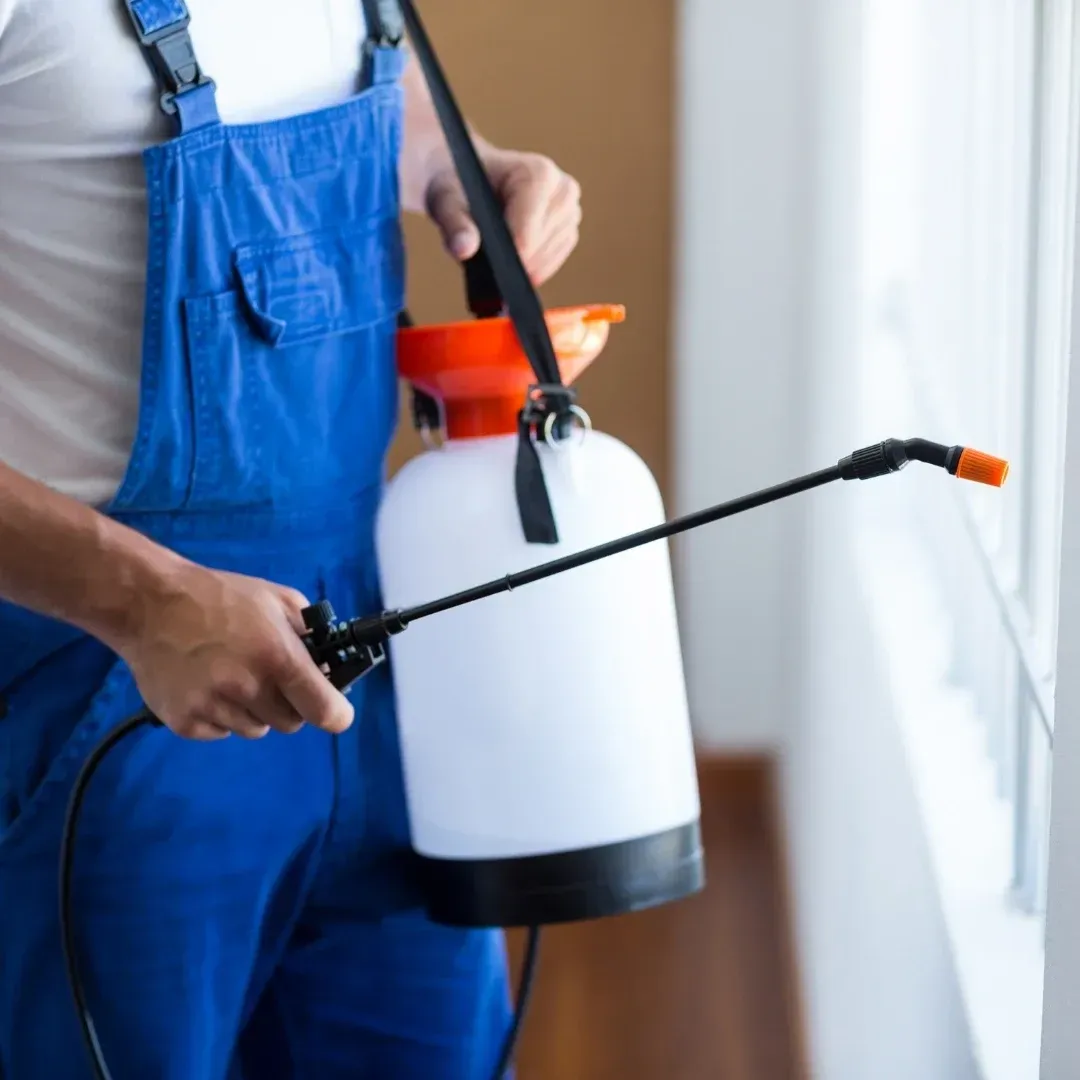 Common seasonal pests in Arizona include ants, bees, wasps, termites, spiders, scorpions, cockroaches, mosquitoes, crickets, rodents, and bed bugs. Spring brings nesting pests, summer brings heat-driven pests, monsoon season brings moisture-loving pests, and cooler months push many pests indoors. If you live or run a business in Gilbert, AZ or anywhere in the Greater Phoenix area, this Phoenix pest calendar helps you know what to expect. Rebellion Pest Defense helps local homeowners and business owners stay ahead of seasonal pest problems with Arizona pest control services built for our desert climate. Person in blue overalls holding a garden sprayer with a black wand indoors