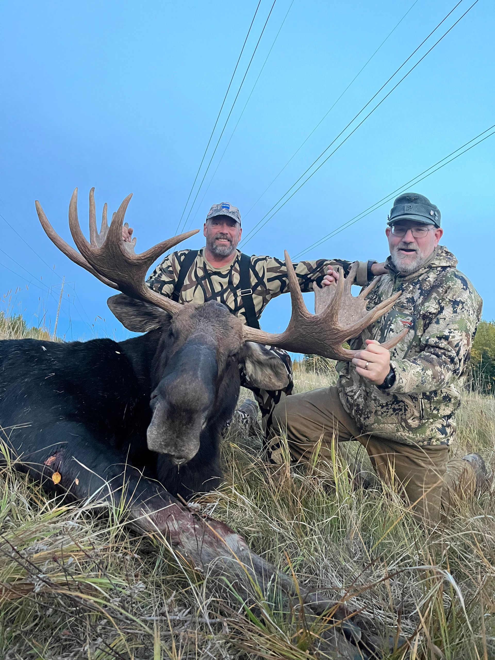 moose hunting in Alberta Canada