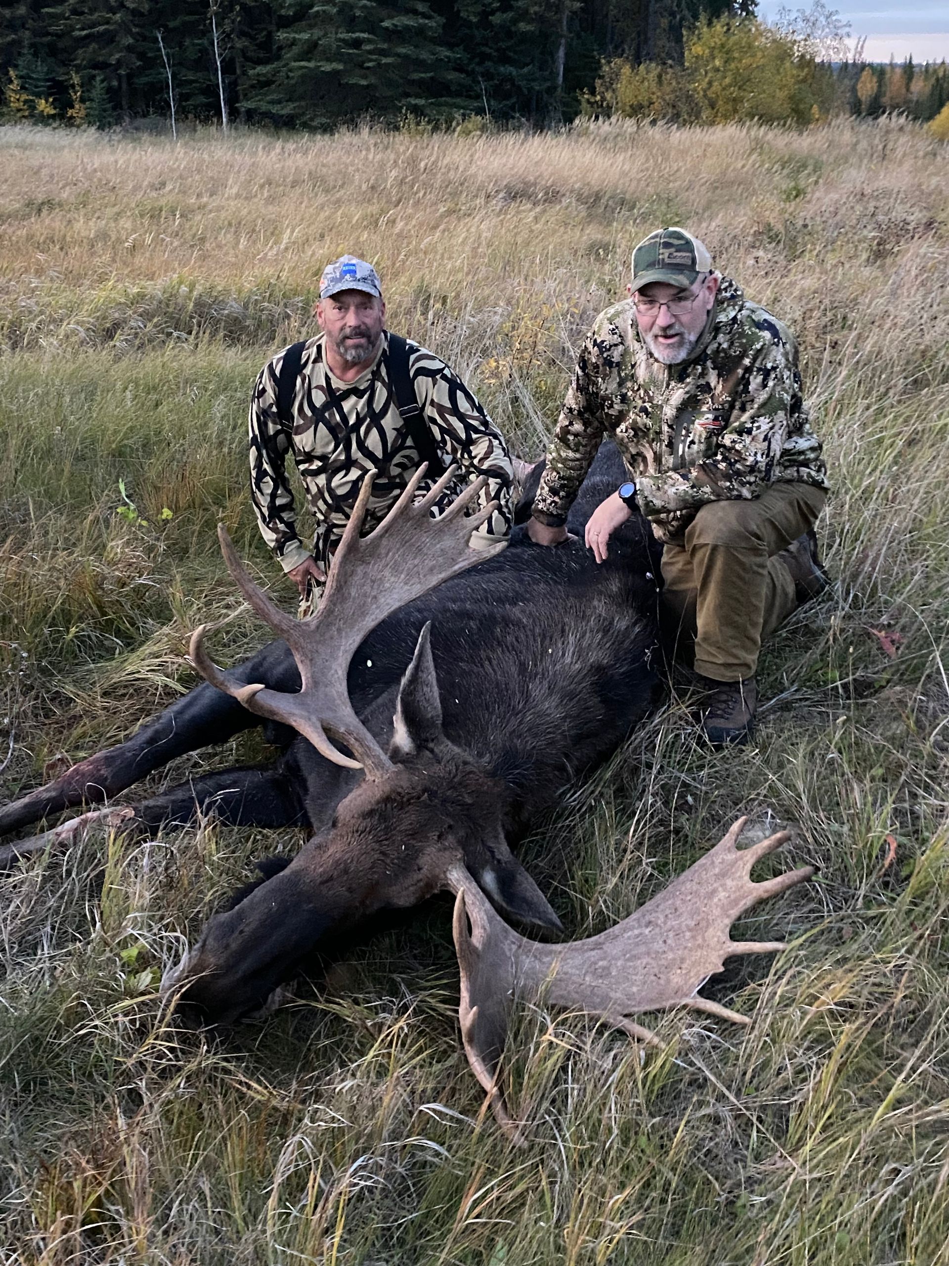 hunting outfitter in canada for big moose