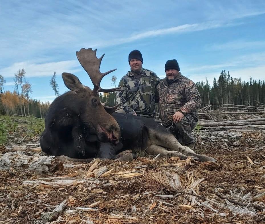 Canada Moose Hunting Outfitter in Alberta Guided Hunts
