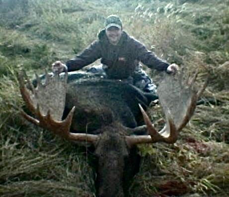Big Moose