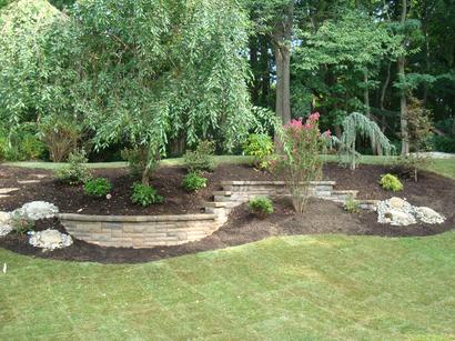 Trees with New Grasses — Middletown, NJ — Precision Landscape Contractors