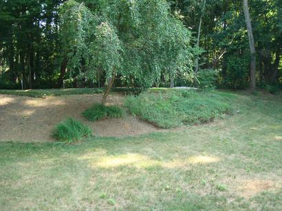 Trees with Old Grasses — Middletown, NJ — Precision Landscape Contractors