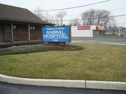 Animal Hospital Old Garden — Middletown, NJ — Precision Landscape Contractors