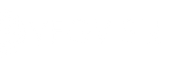 Vegvisir-logo