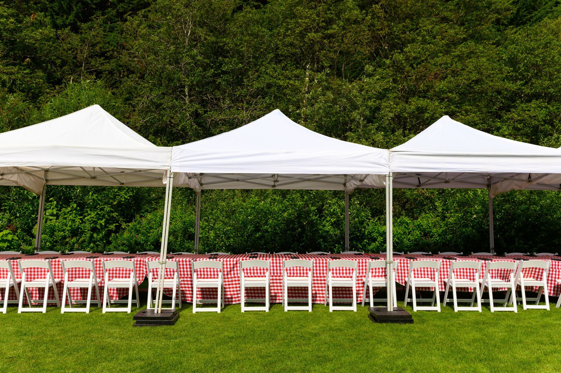 Outdoor party setup with white canopy tents and long tables covered in red checkered cloths.