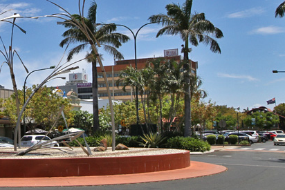 與棕櫚樹的Bundaberg環形交通樞紐的圖片