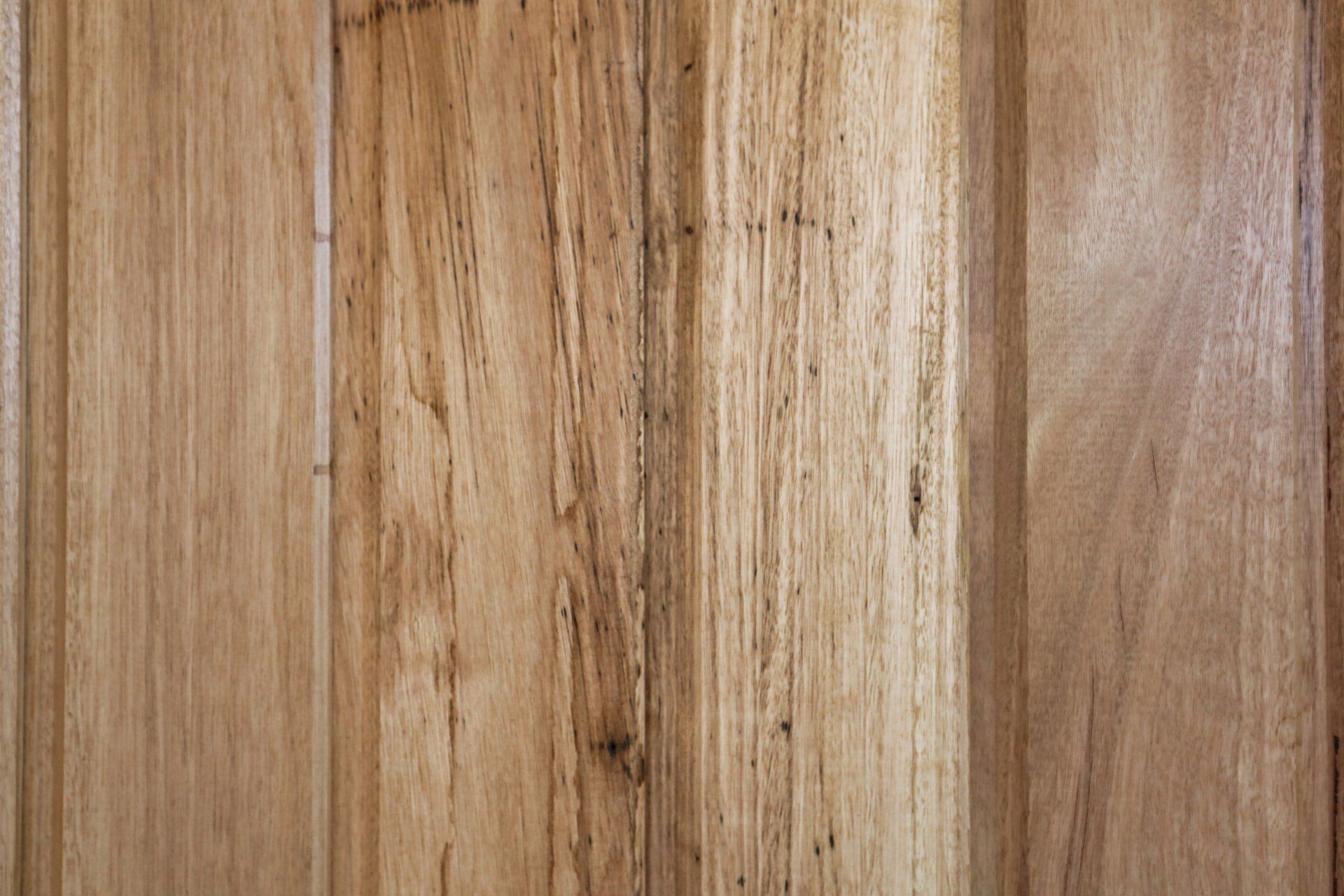 Inverloch Custom Home Builder,Inverloch Builder,Everstyle Build,3996 Studio, Inverloch 3996, Real Estate Photography, Real Estate Marketing, Real Estate, Invelroch Property, Inverloch Real Estate Agent