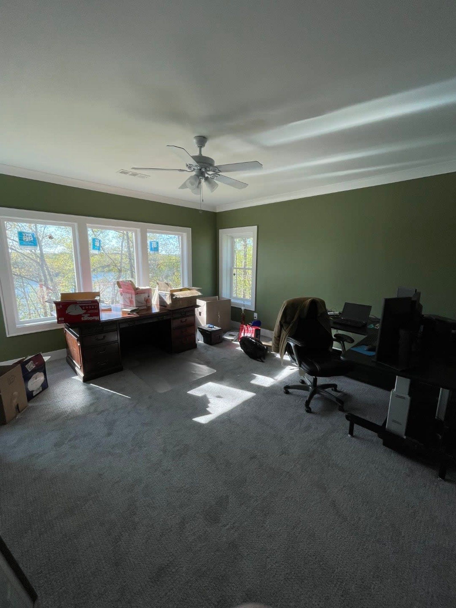 Empty office with green walls, gray carpet, and a ceiling fan; sunlight streams in from windows.