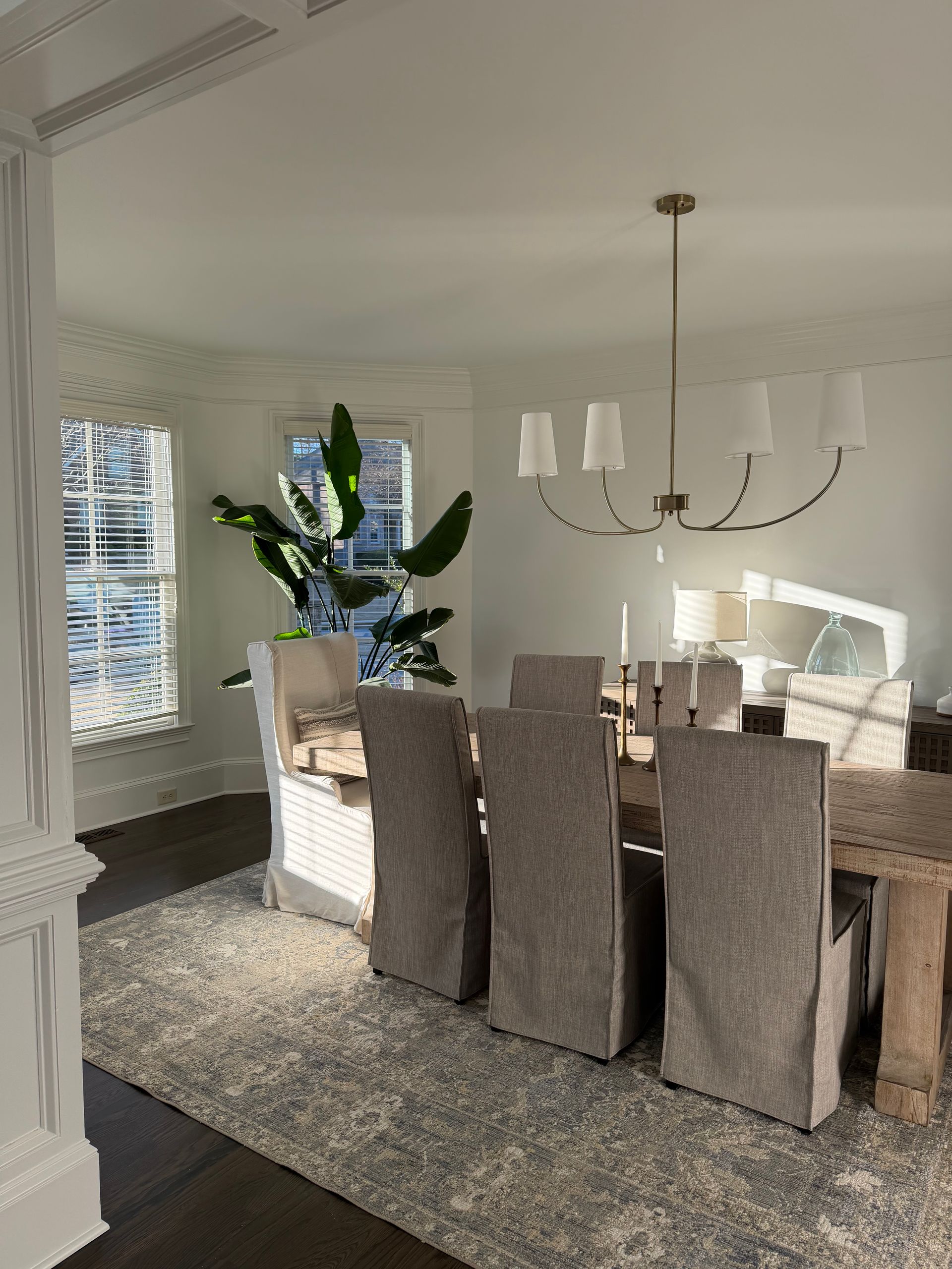 Dining room with a long wooden table, six slipcovered chairs, rug, and a large plant.