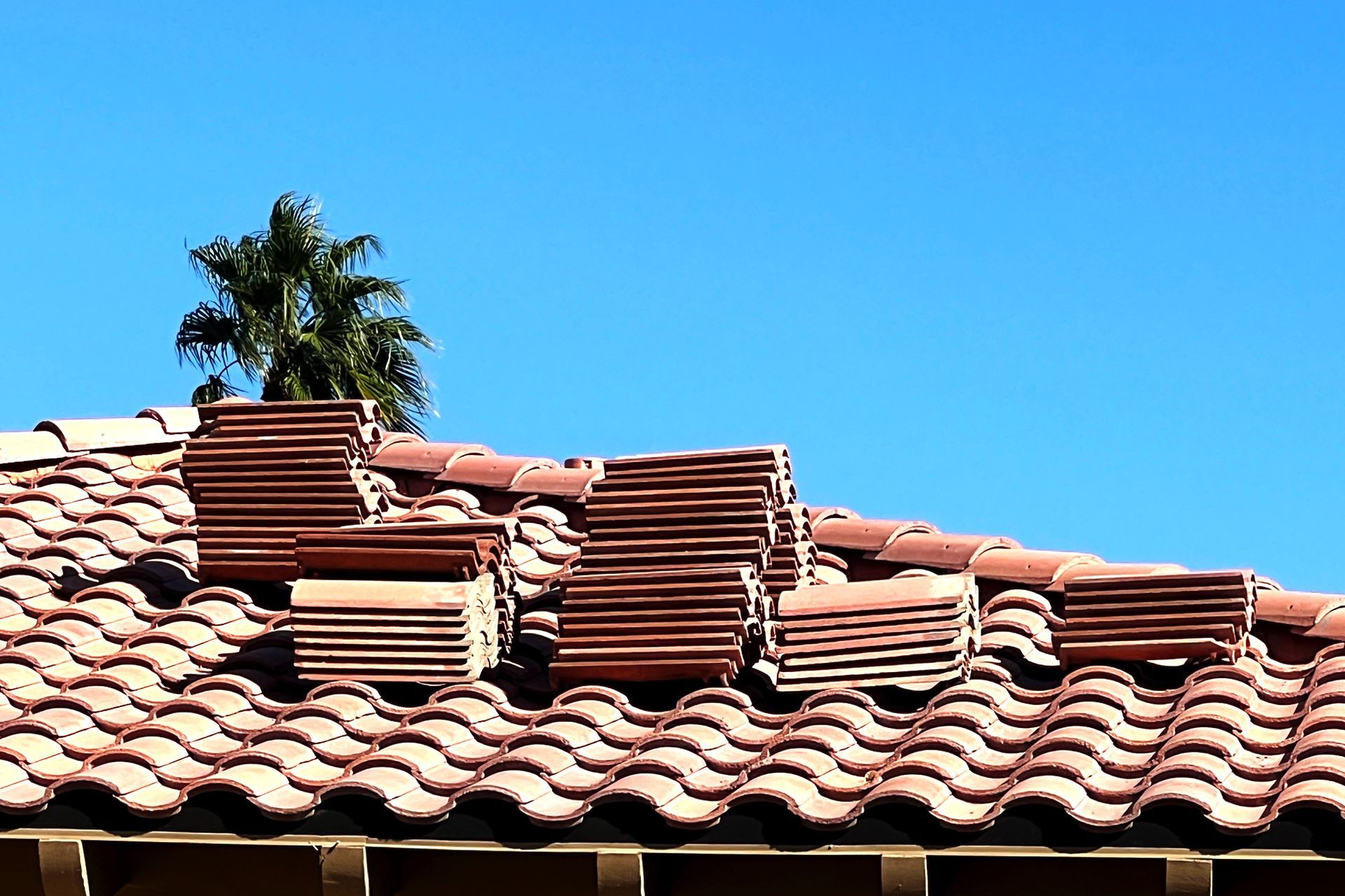 Stacks of red roof tiles on a wavy tile roof, with a palm tree and blue sky in the background.