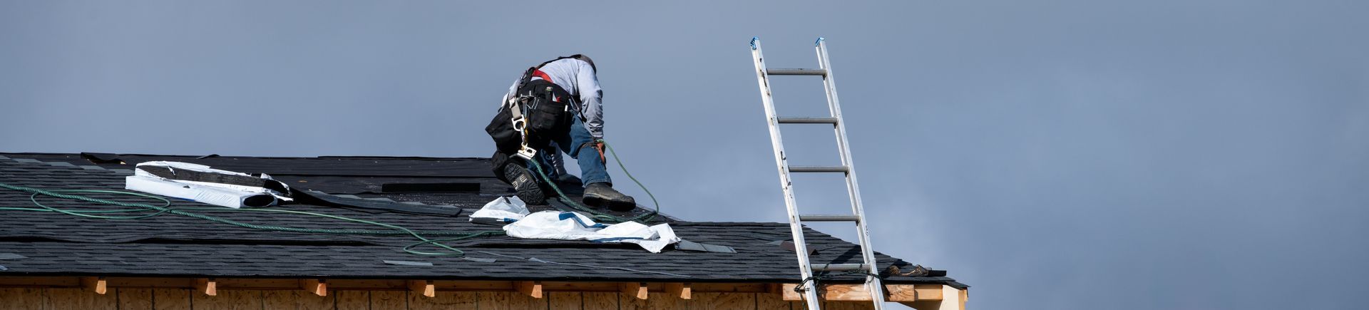 A local roofing contractor installing new shingles on a residential roof using a ladder.