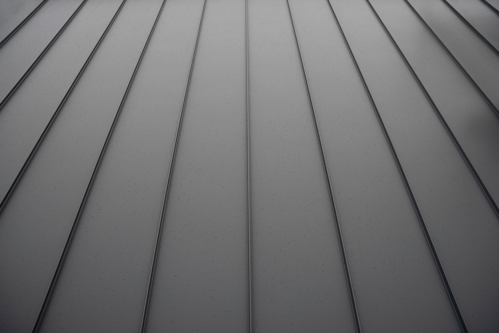 Gray, curved metal roof with vertical seams.
