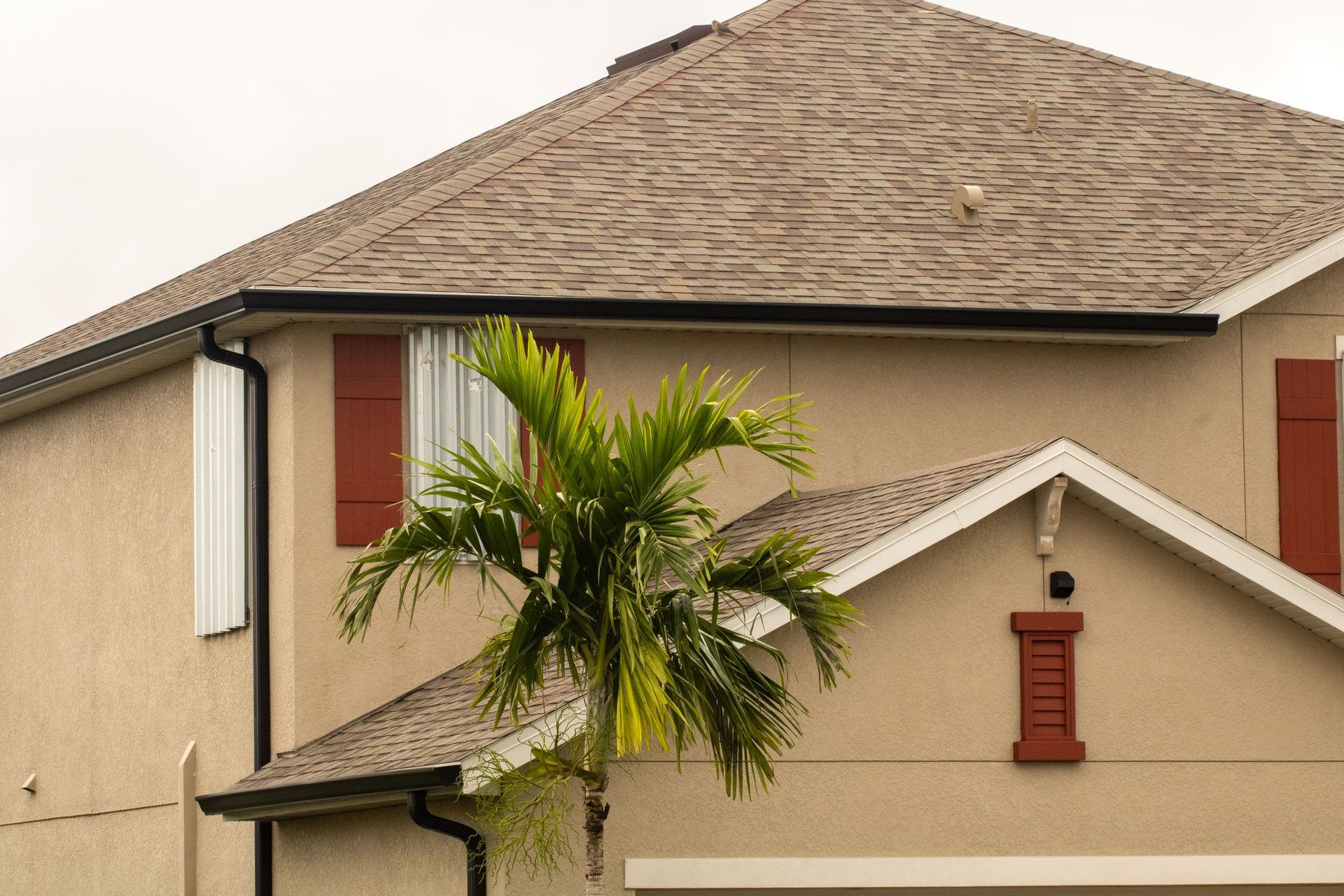 Beige house with a brown roof and red shutters, a palm tree in front.