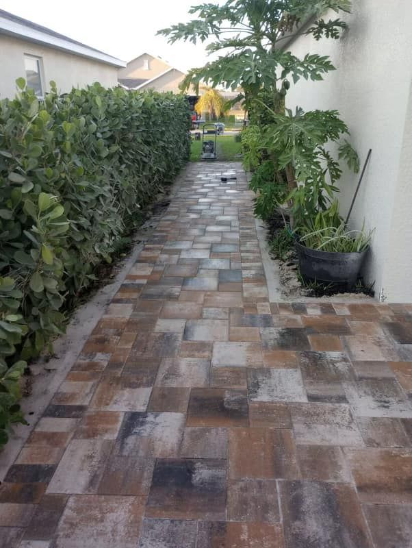 Brick pathway between hedges and a stucco wall.