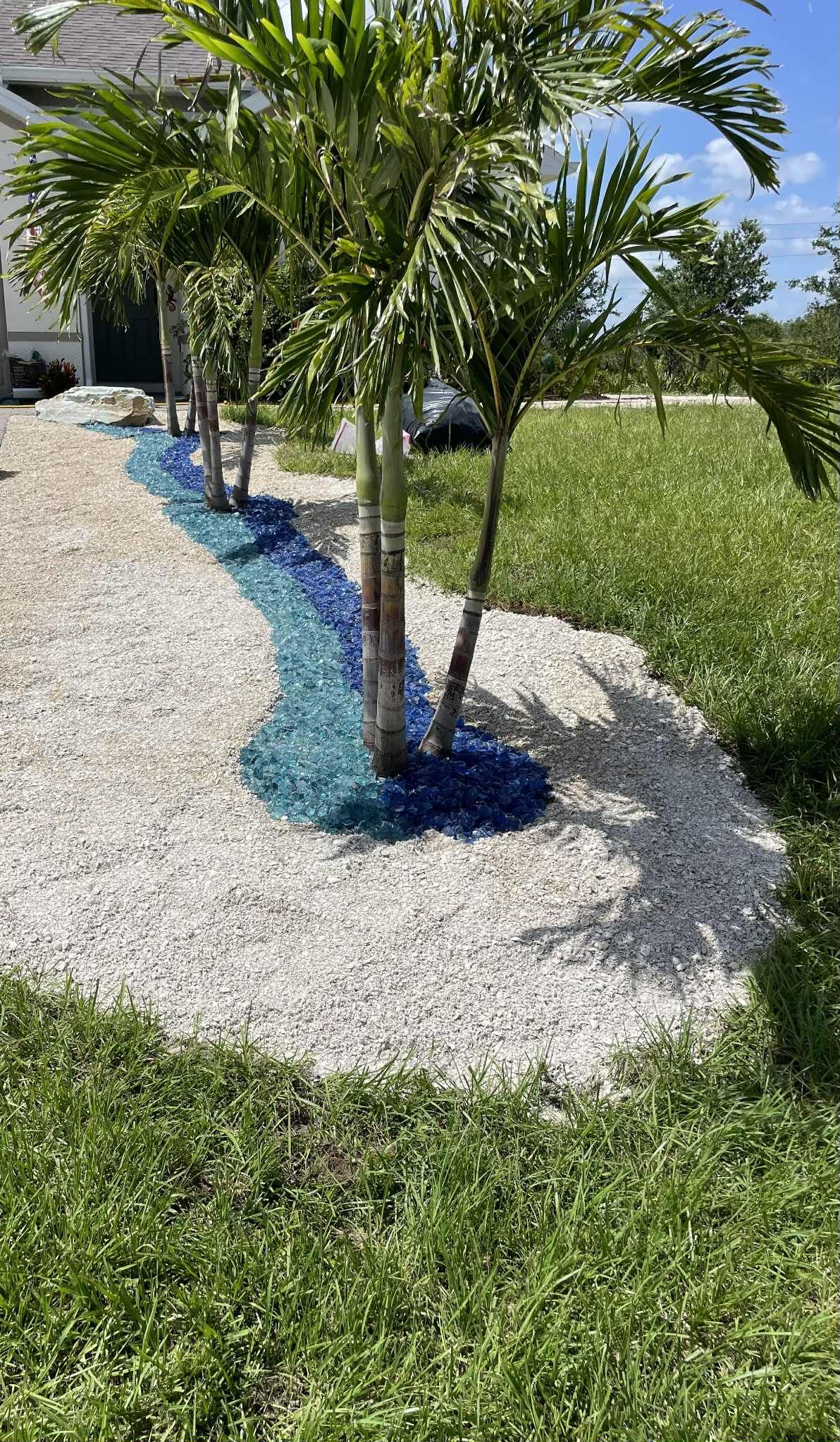 Palm trees in a landscaped bed with white and blue decorative stones, bordered by grass.