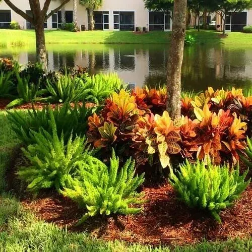 Green and colorful plants in a landscaped garden near a pond, trees, and a building.
