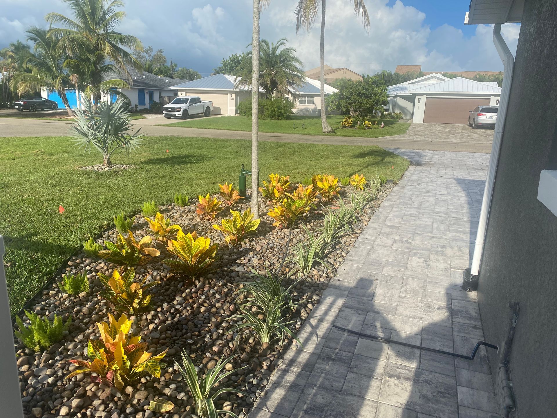 Yellow and green plants in a rock bed border a brick walkway leading to a house. Houses and trees in the background.